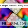 Kamagra Oral Jelly 100Mg India 17